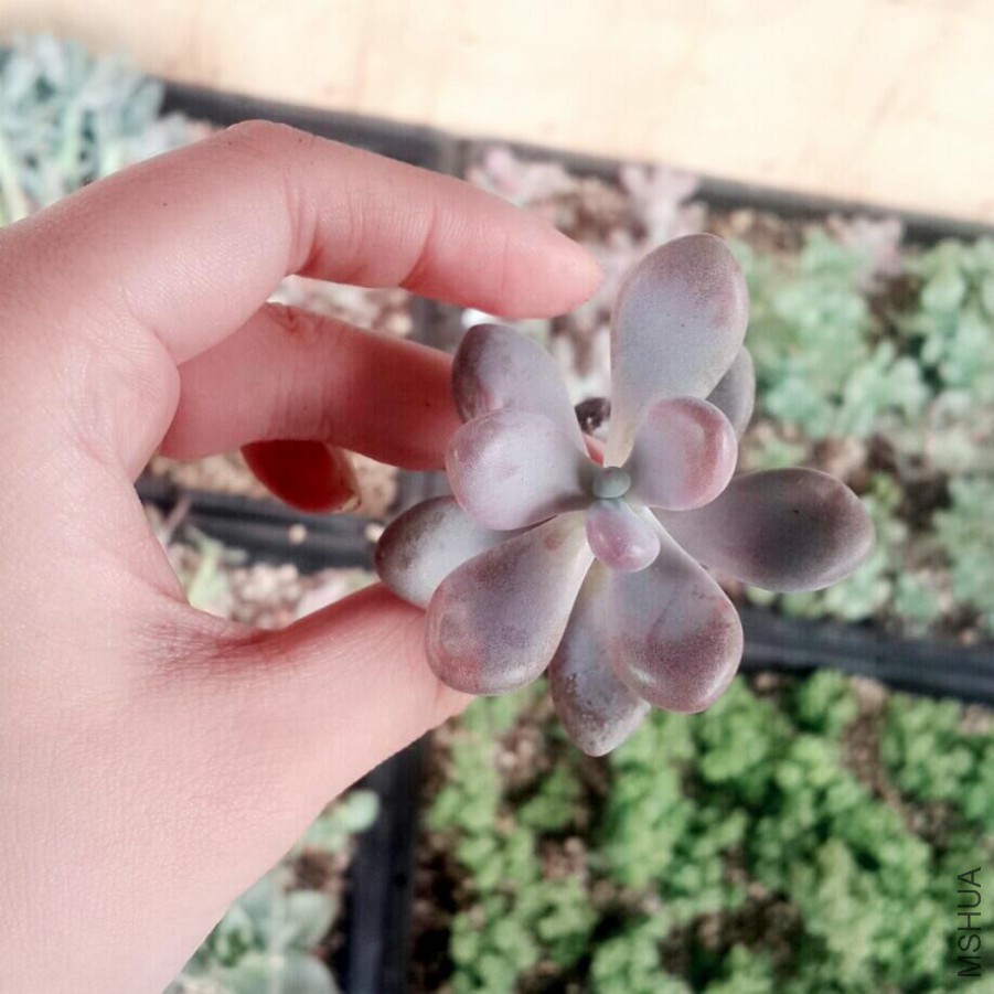 QQͼƬ20150918182535.jpg