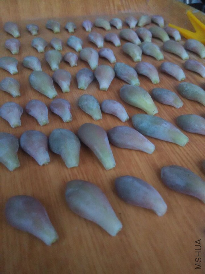 QQͼƬ20150918183553.jpg
