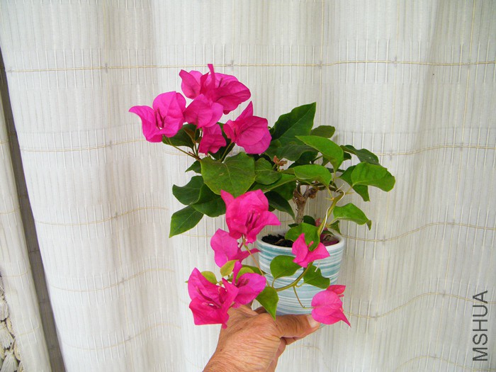 ΢��08 29 015.jpg