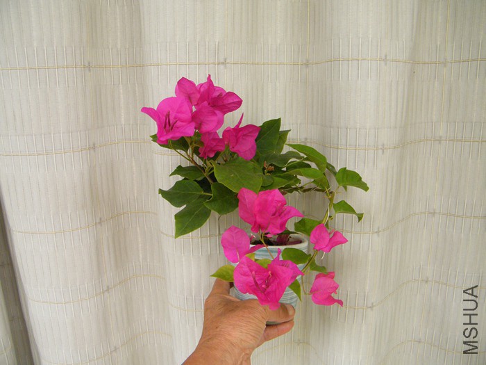 ΢��08 29 014.jpg