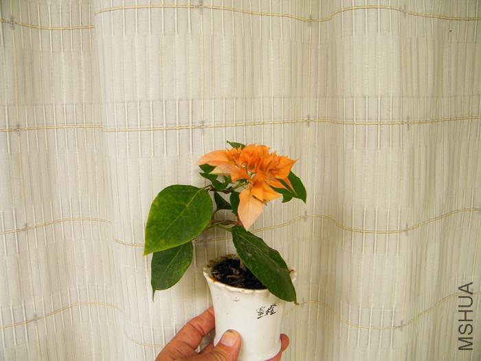 ΢��08 29 016.jpg