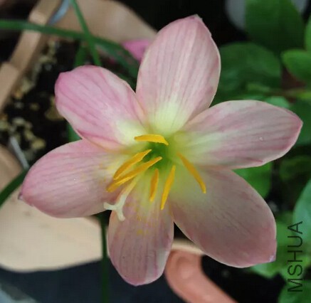 QQ��ͼ20150919000704.jpg