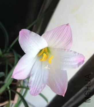 QQ��ͼ20150919000421.jpg