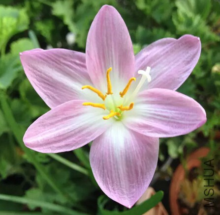 QQ��ͼ20150919000411.jpg