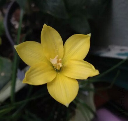 QQ��ͼ20150919000347.jpg