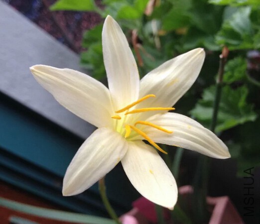 QQ��ͼ20150919000630.jpg
