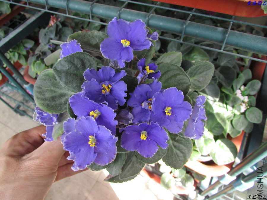 IMG_6120_nEO_IMG.jpg