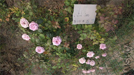 WP_20150919_13_56_07_����֮��.jpg
