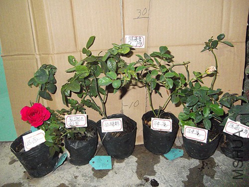 DSCF2258.JPG