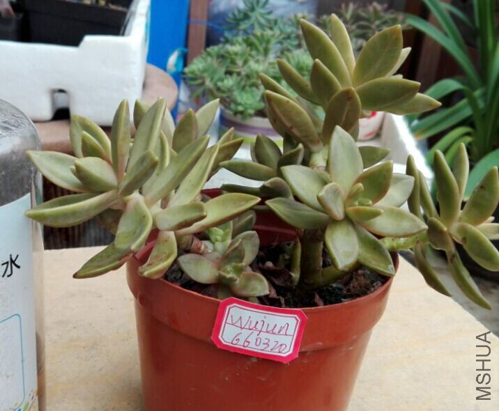 QQͼƬ20150920115941.jpg