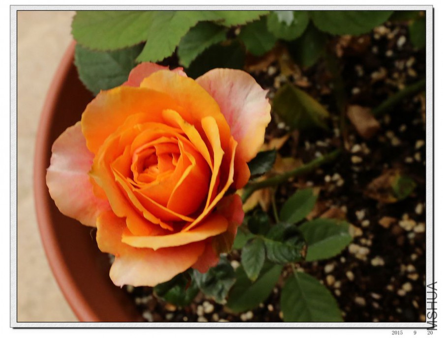 2015092008.jpg