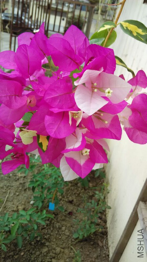 QQͼƬ20150920135737.jpg