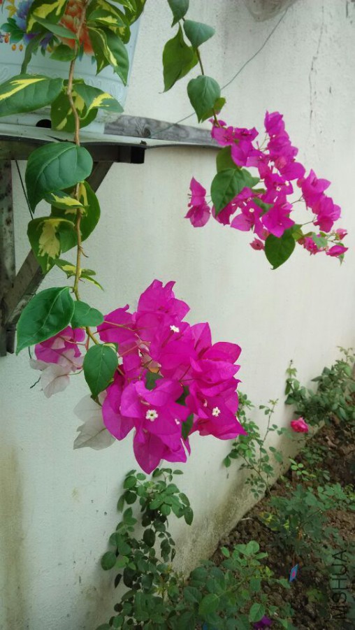 QQͼƬ20150920135742.jpg