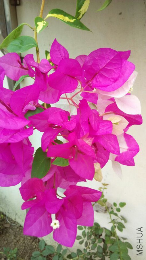 QQͼƬ20150920135733.jpg
