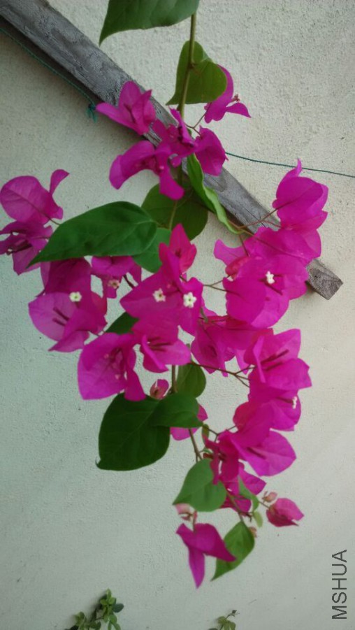 QQͼƬ20150920135730.jpg