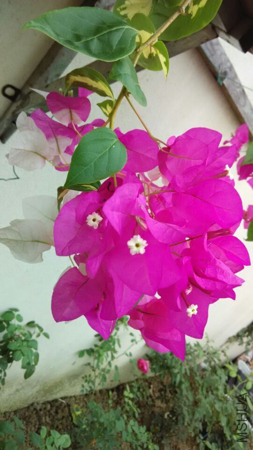 QQͼƬ20150920135726.jpg