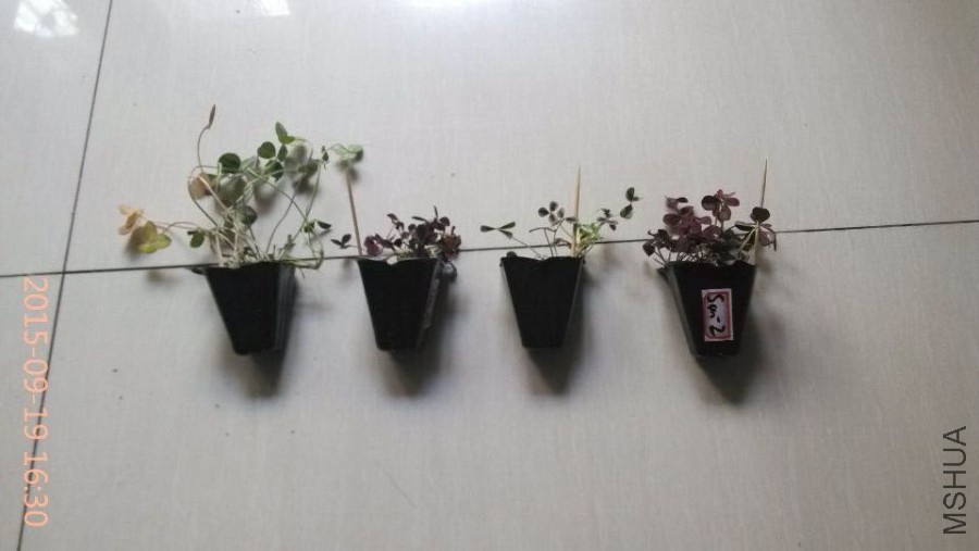 QQͼƬ20150919231053.jpg