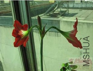 QQ��ͼ20150920180939.jpg