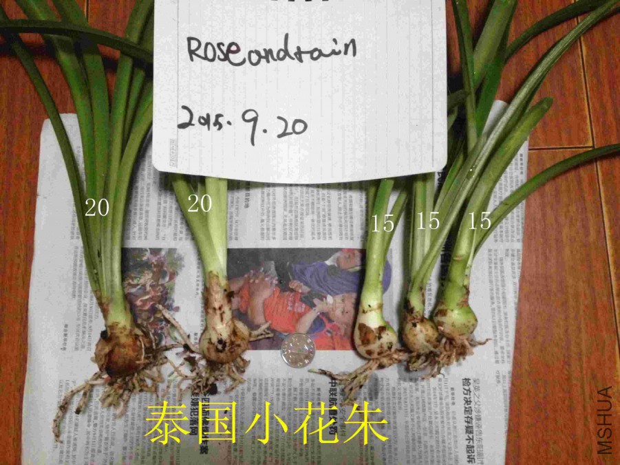 QQͼƬ20150920183031.jpg