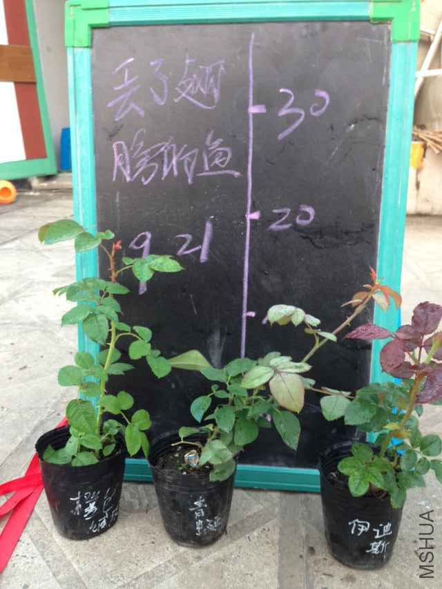 QQͼƬ20150921065845.jpg