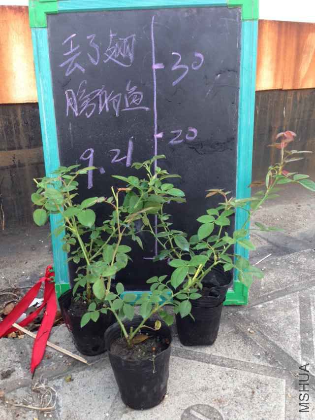 QQͼƬ20150921065842.jpg