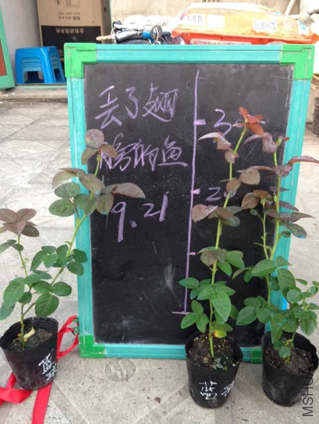 QQͼƬ20150921065858.jpg