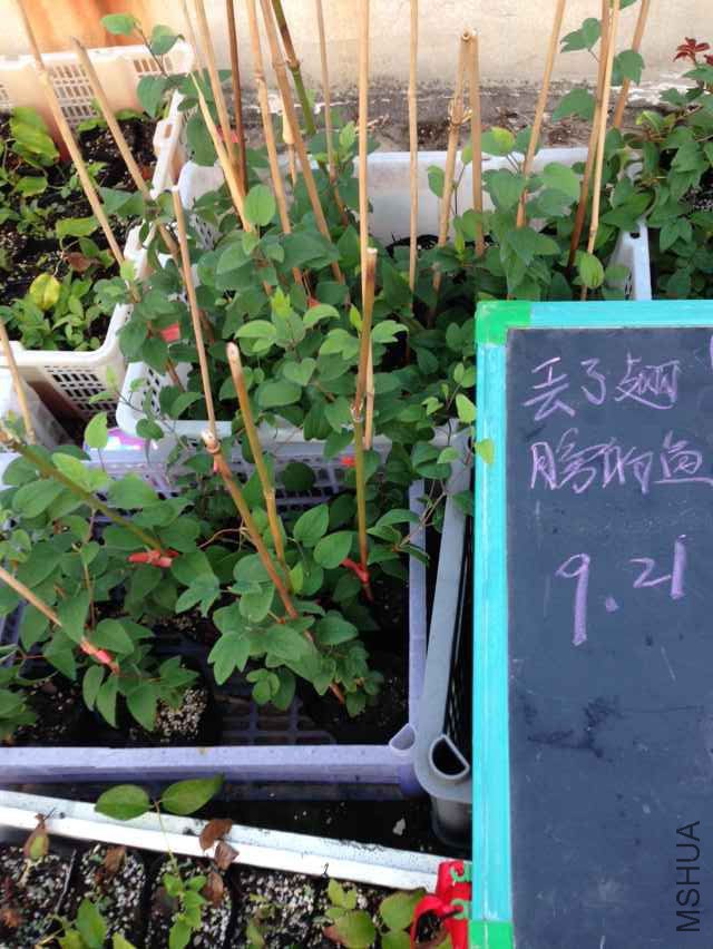 QQͼƬ20150921065901.jpg