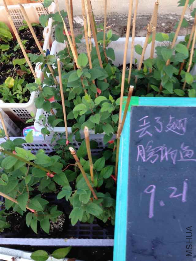 QQͼƬ20150921065854.jpg