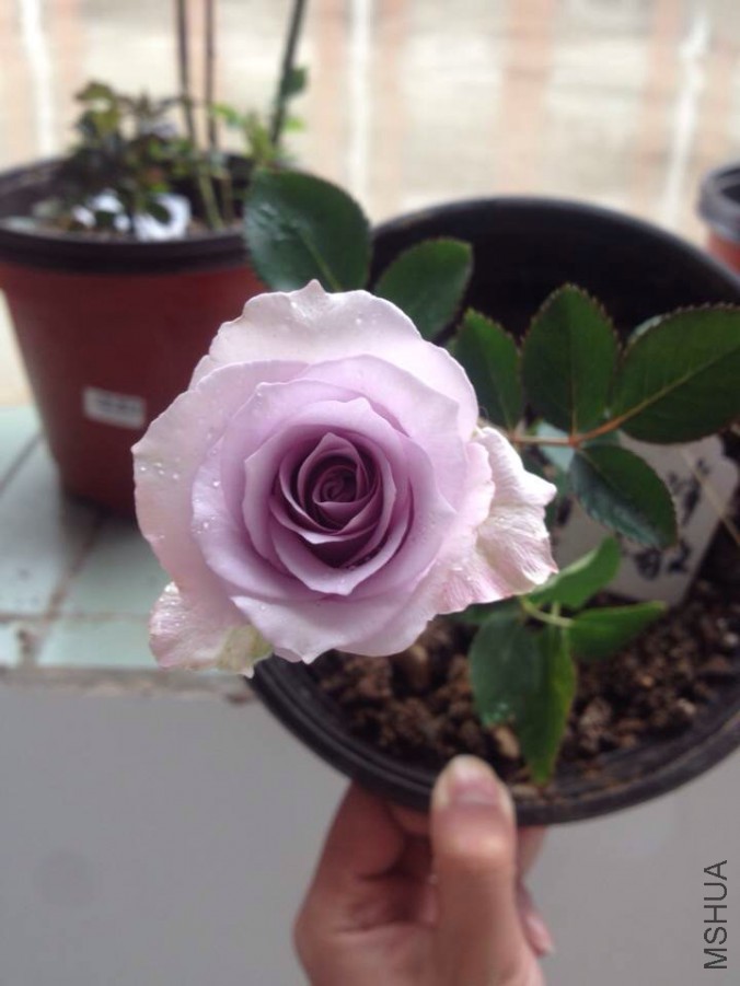 ����֮��