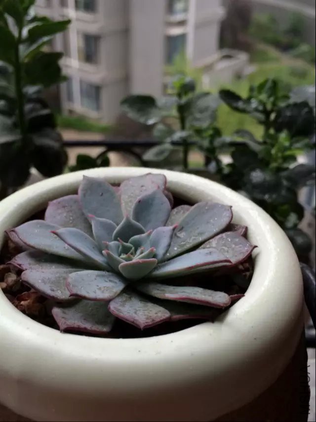 psb (8).jpg