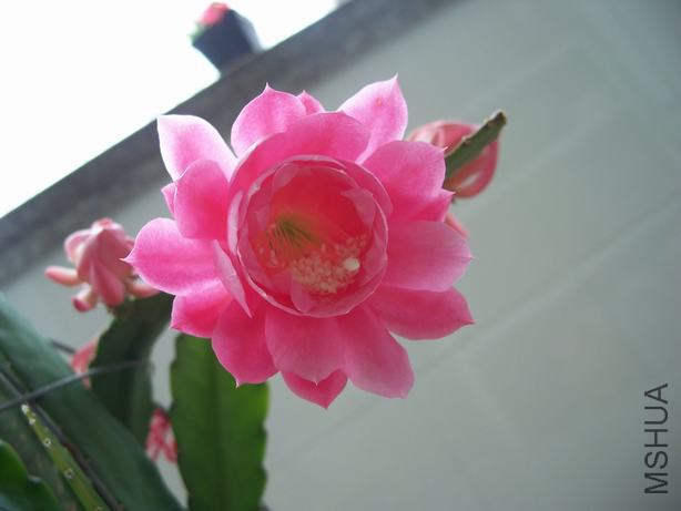 100_5641.JPG