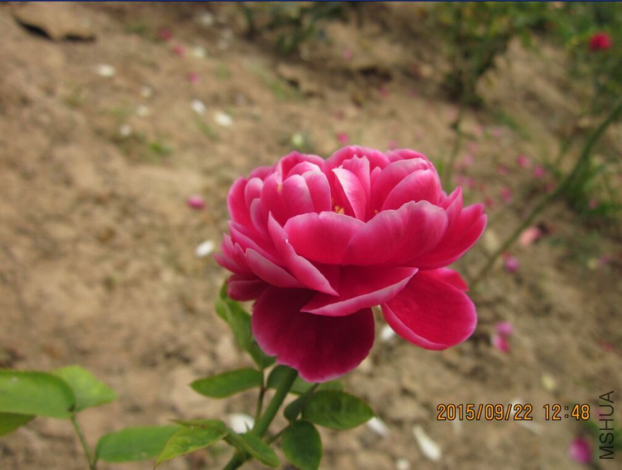 QQͼƬ20150922130852.jpg