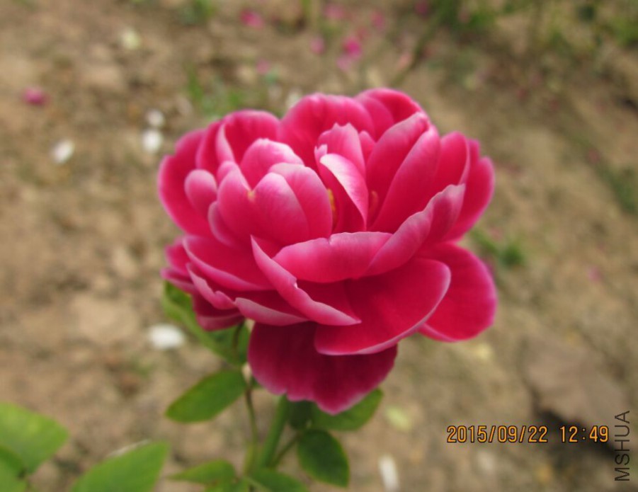 QQͼƬ20150922130854.jpg