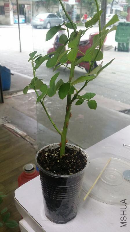 rps20150922_193214.jpg