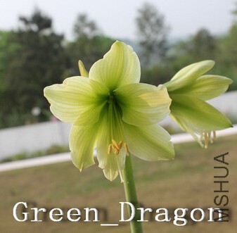 QQ��ͼ20150922204316.jpg
