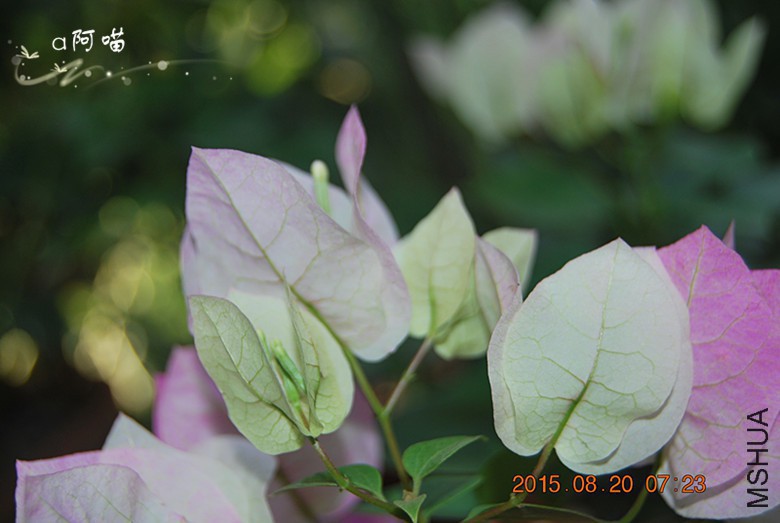 104732ywmwp3jqfm2wiqlj.jpg