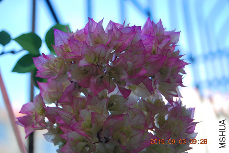 134643ujycees5y599ycrm.jpg