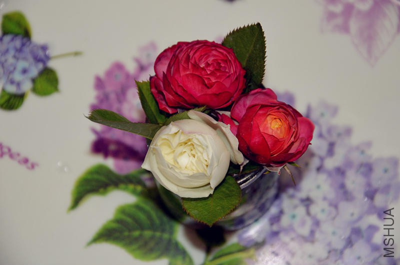 psb (10).jpg