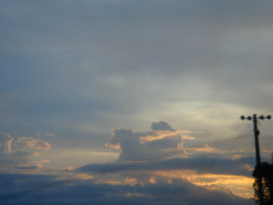 DSC00545.JPG
