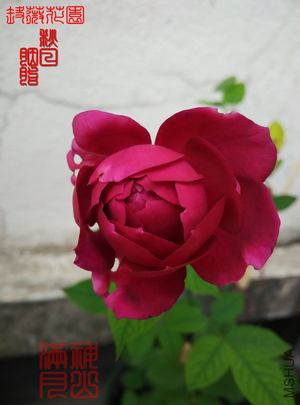 ������֬03.jpg