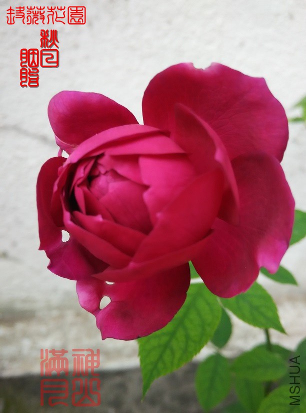 ������֬04.jpg
