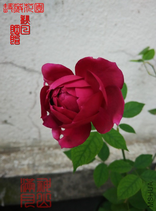 ������֬05.jpg