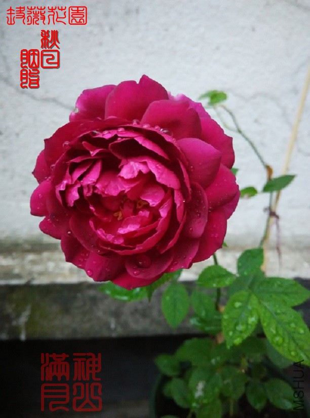 ������֬07.jpg
