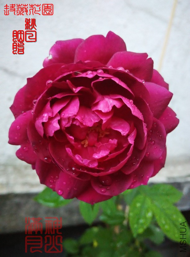 ������֬08.jpg