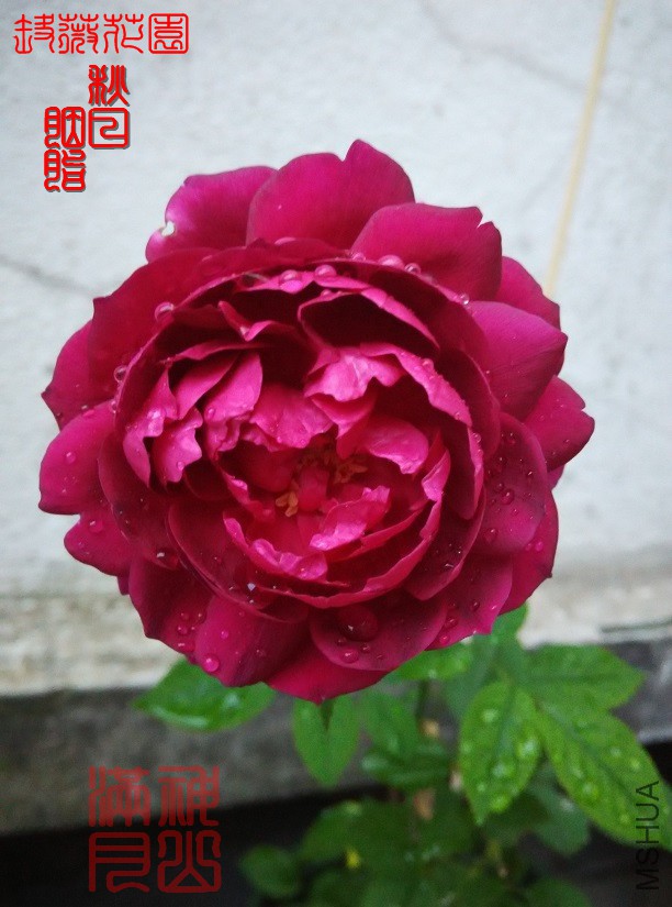 ������֬09.jpg