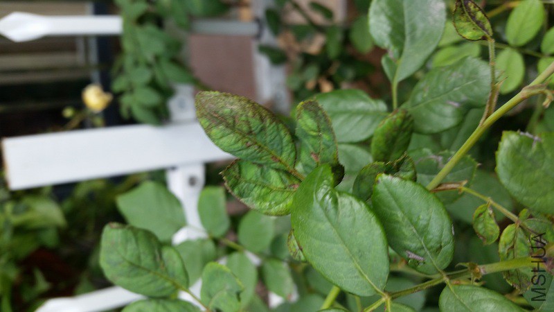 20150925_094340.jpg