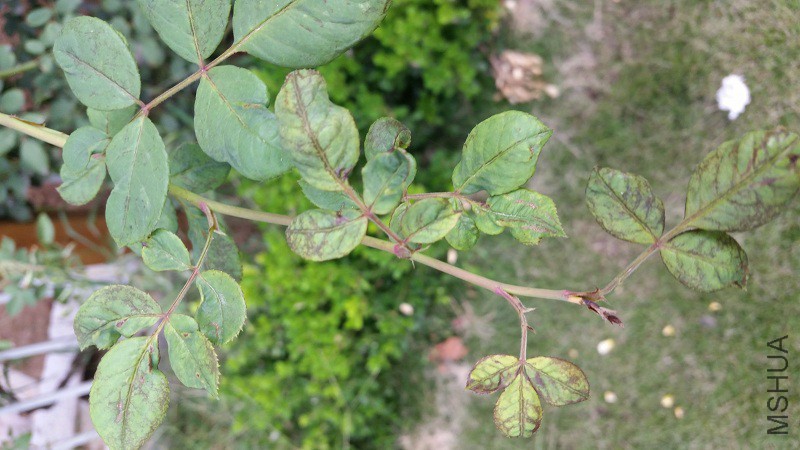 20150925_094328.jpg