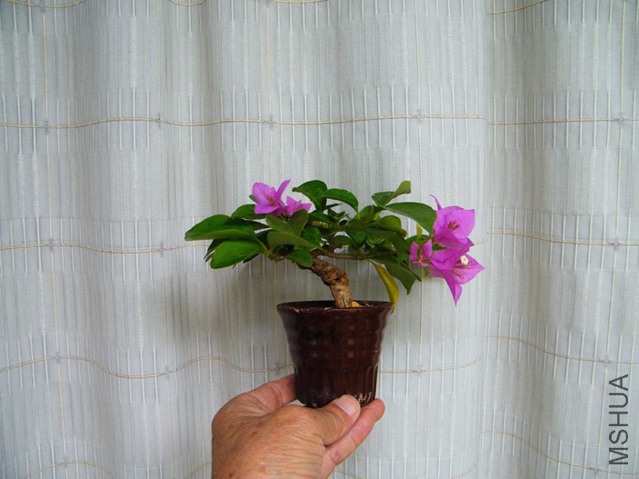 ΢��09 03 007.jpg