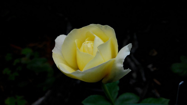 ���ֶ�ͯ (4).jpg