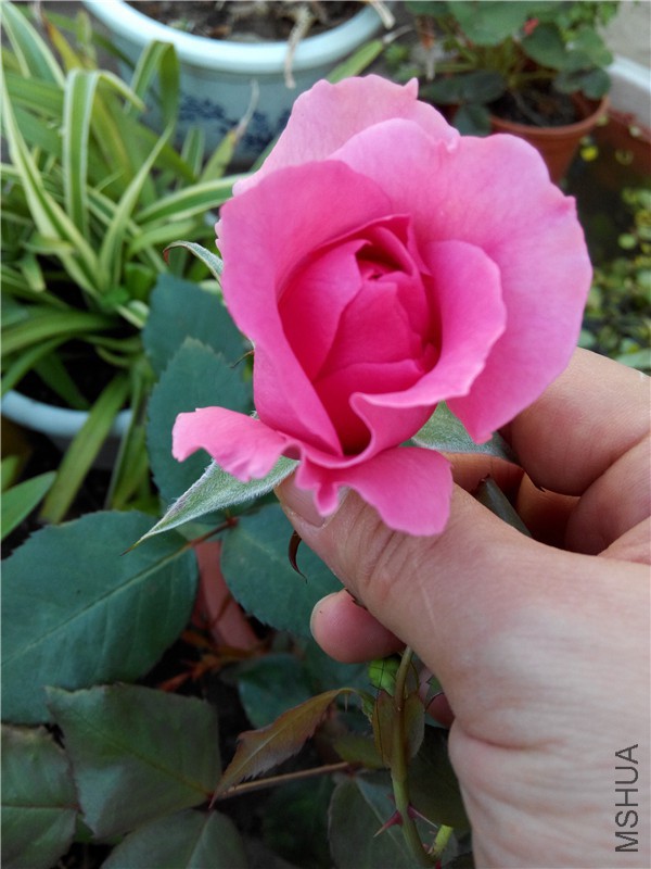 ����  ��